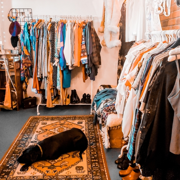 Random Mystery Bundle - Picture 3 of 7